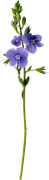 0-1c0e26-be3c6823-orig