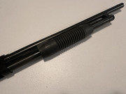 IMG-6354