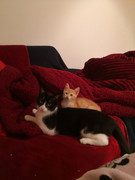 IMG-20190508-211920.jpg