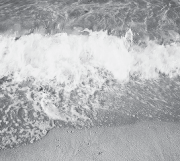 tumblr_eba725b935610f6f5182c2fe50e551c2_43f9b687_400