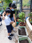 photo-littlefarmer2223-1A-018