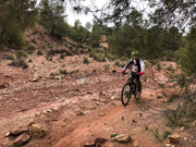 (30/03/2019) CAMPILLO LOS JIMÉNEZ (CEHEGÍN) IMG-5730