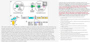 SARS_Cov-2 viral entry into cell_mechanism