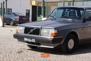 IMG-6903