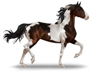 Untitled234-20250323185834