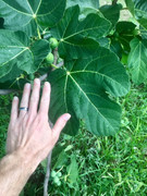 15839446-4C8D-4F7F-9017-31AFF9822B92