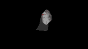 black-rabbit