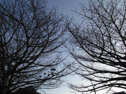 65.11.welcoming winter XI