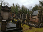 IMG-20211205-110728.jpg