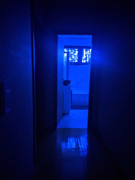 IMG_20211224_234936_tigr