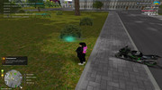 IMG-6960