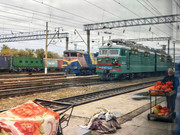 IMG-20241016-145333-01