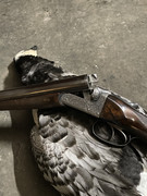 [Linked Image from i.postimg.cc]