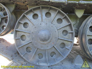 IMG-5441