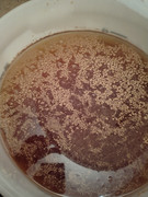 IMG 20251227 154356935 HDR