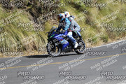 IMG-1374