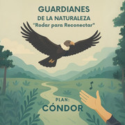 Cóndor