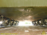 DSCN1346