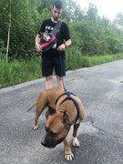 71BB78BB-EAA0-4ABD-8725-1B90BFB0533D