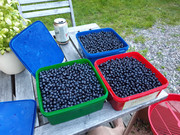 [Image: 20220731-203934.jpg]