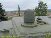 IMG-8941