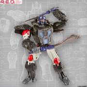 220324888-4624522990913939-4184104582240175636-n