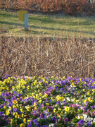 photo 13 2026 01 16 22 00 52