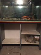 ACB87A89-F6F0-4705-A80E-CEF27865A222