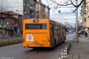 IMG-5373