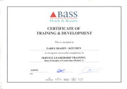 Service-leadership-MODEL-1-BASS