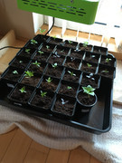 B47DD146-A571-4CAF-9B60-6F9CC1794D76