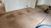 Carpet Cleaning Near Me