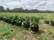 66093CC6-10F9-4DD2-85E0-6A13F658B2BE