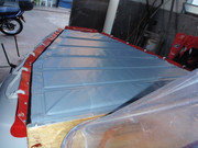 mimosos en berisso 204