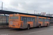 IMG-5893