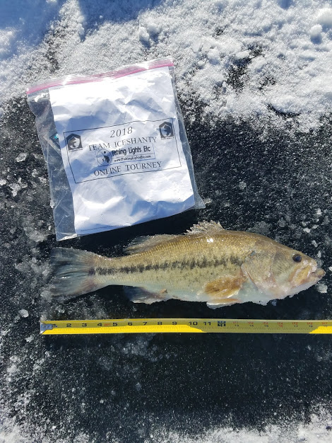 2nd bass