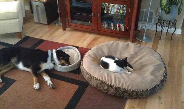 picdump-kw21-2021-030.jpg
