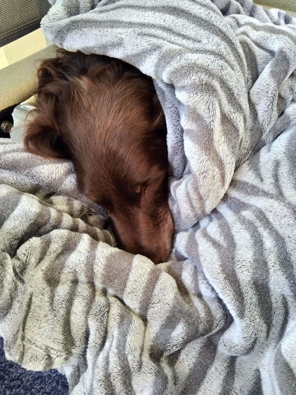 [Image: IMG-20231107-090609.jpg]