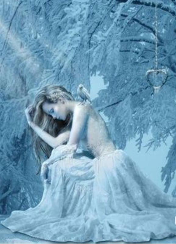 Screenshot_20221213-230645_Chrome