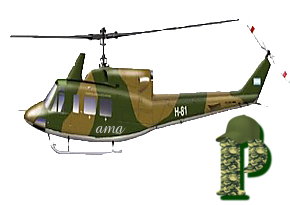 Helicóptero  P