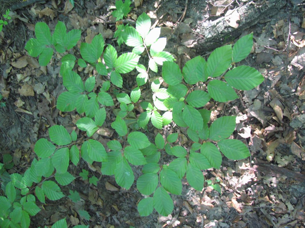 21 Июля 2024 029