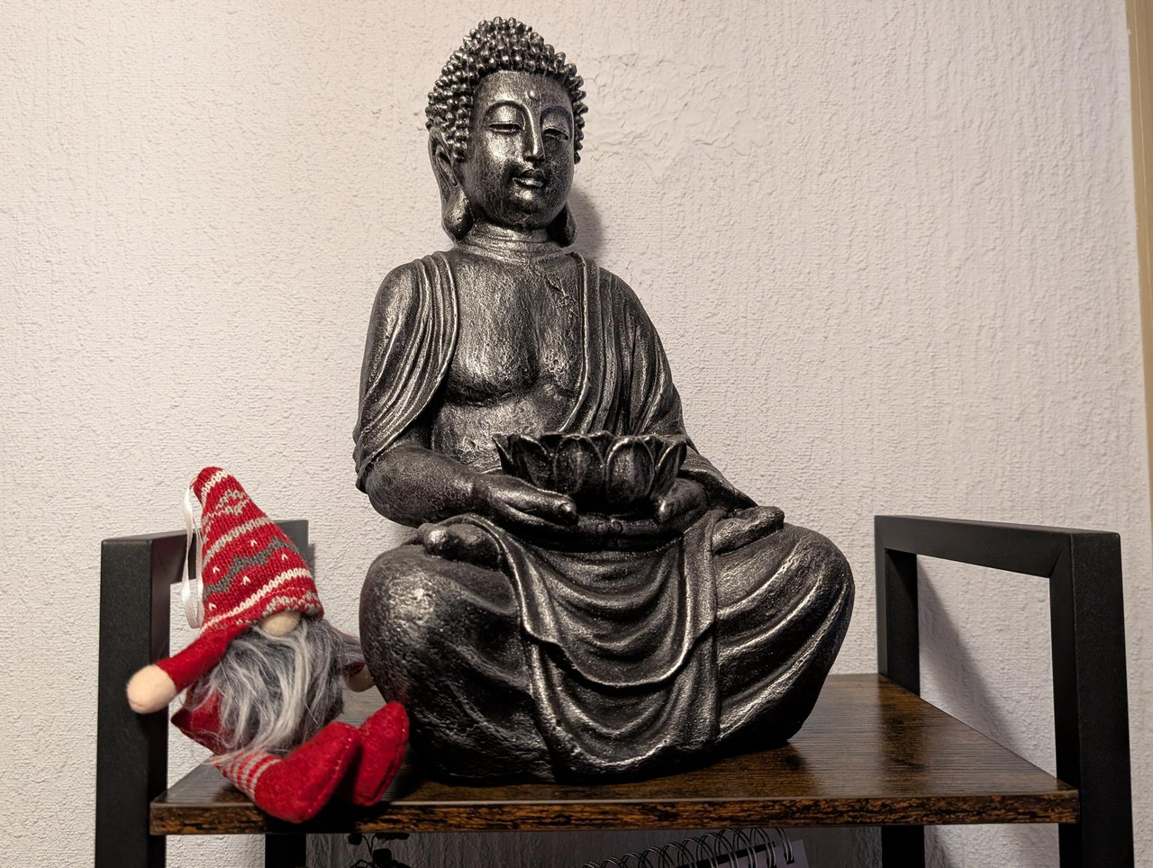 [Bild: PXL-20251211-143514573.jpg]