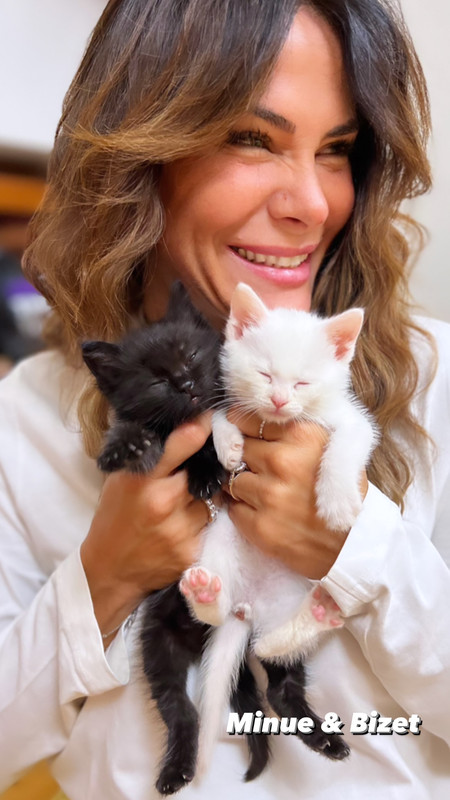 0F9CA9CB-DB40-405C-8E8B-0FA3FC589F7C