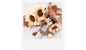 Girasoles