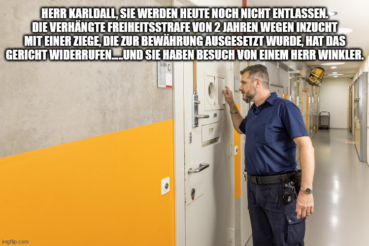 low2.jpg