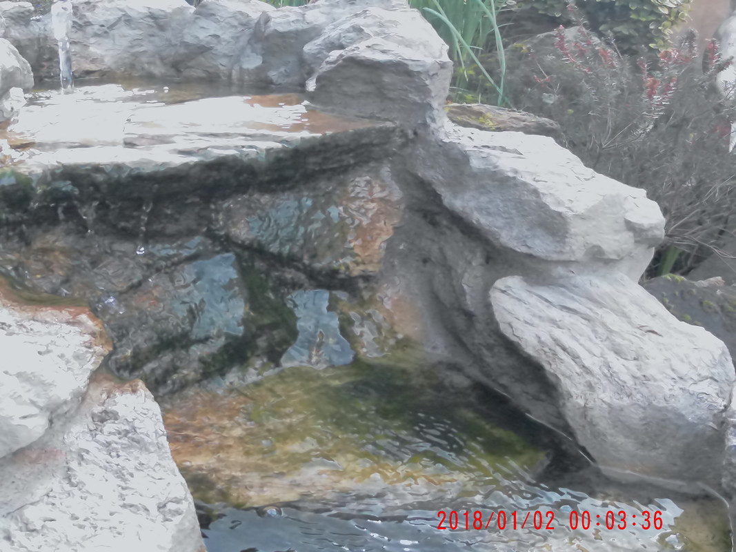 2018_0102_000337_001