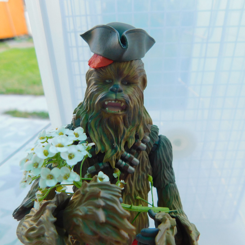 Дачно-Харлинский июнь-июль 2024 429