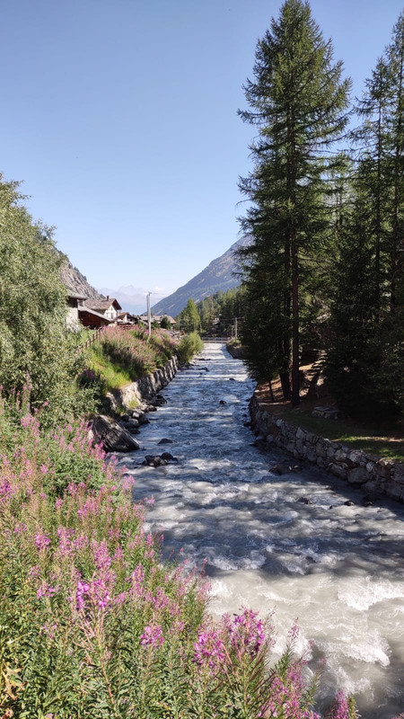 AC675019-6838-45D7-8B0D-57C9228F9886