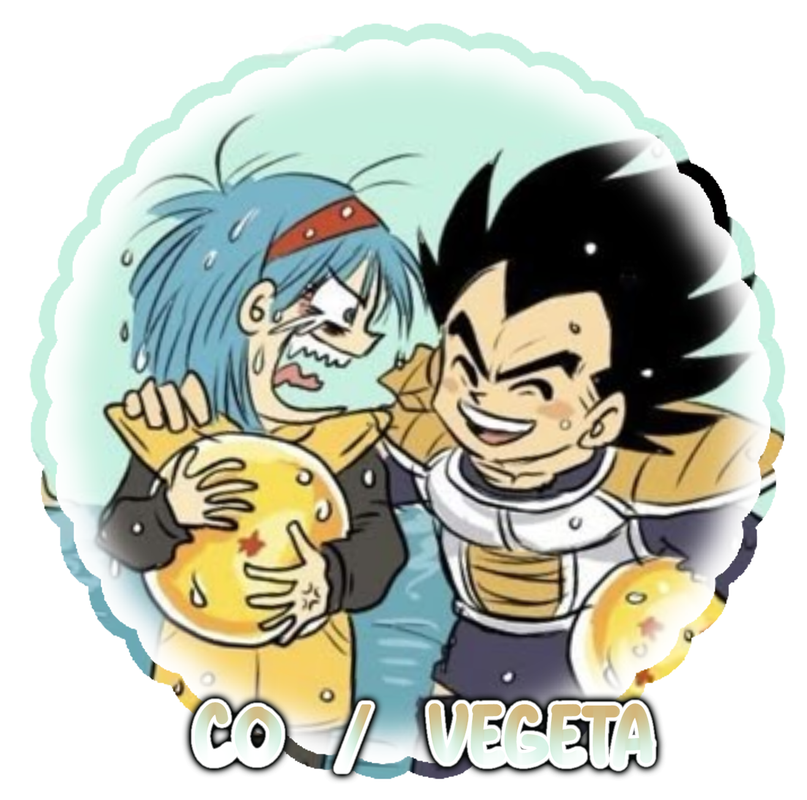 .co/vegeta