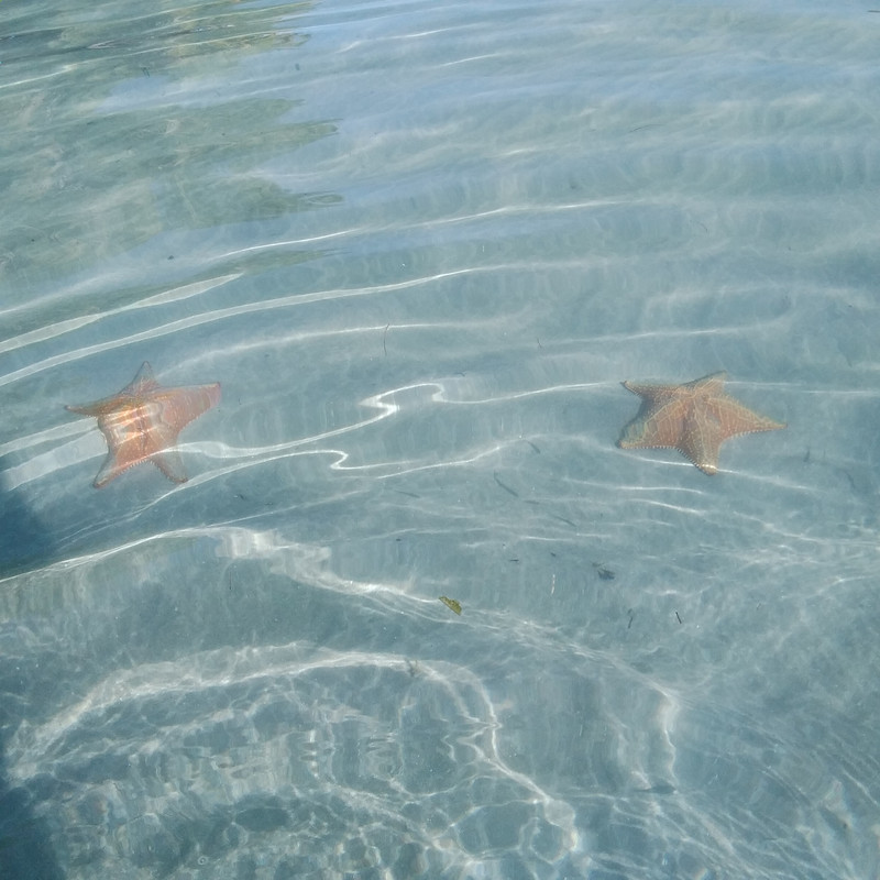 Зимовка в Центральной Америке-2024, семь стран за два месяца - не съесть, но надкусить.